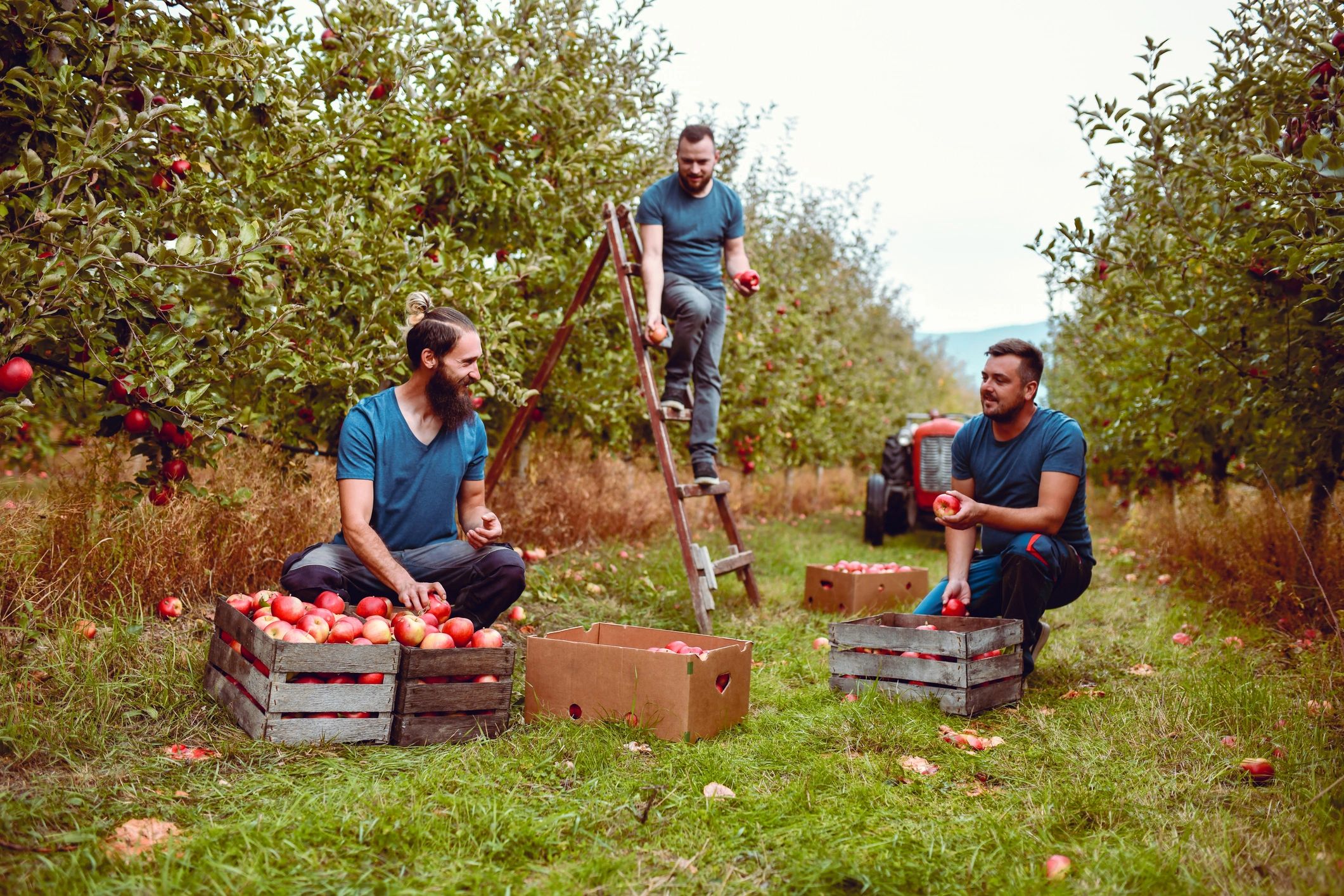 Farm team portrait for brand quote section